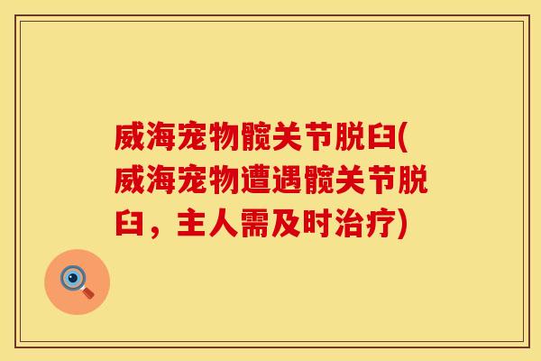 威海宠物髋关节脱臼(威海宠物遭遇髋关节脱臼，主人需及时治疗)
