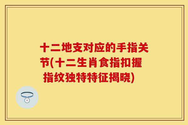 十二地支对应的手指关节(十二生肖食指扣握 指纹独特特征揭晓)