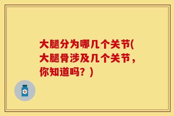大腿分为哪几个关节(大腿骨涉及几个关节，你知道吗？)