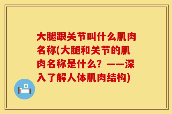 大腿跟关节叫什么肌肉名称(大腿和关节的肌肉名称是什么？——深入了解人体肌肉结构)