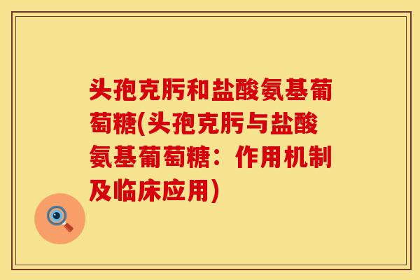 头孢克肟和盐酸氨基葡萄糖(头孢克肟与盐酸氨基葡萄糖：作用机制及临床应用)