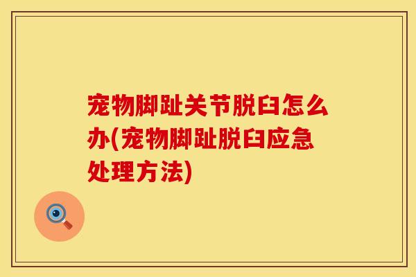 宠物脚趾关节脱臼怎么办(宠物脚趾脱臼应急处理方法)