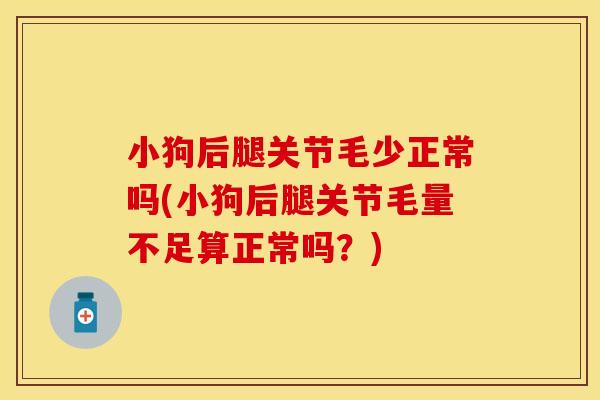 小狗后腿关节毛少正常吗(小狗后腿关节毛量不足算正常吗？)