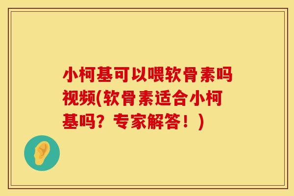 小柯基可以喂软骨素吗视频(软骨素适合小柯基吗？专家解答！)