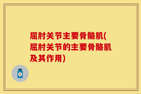 屈肘关节主要骨骼肌(屈肘关节的主要骨骼肌及其作用)