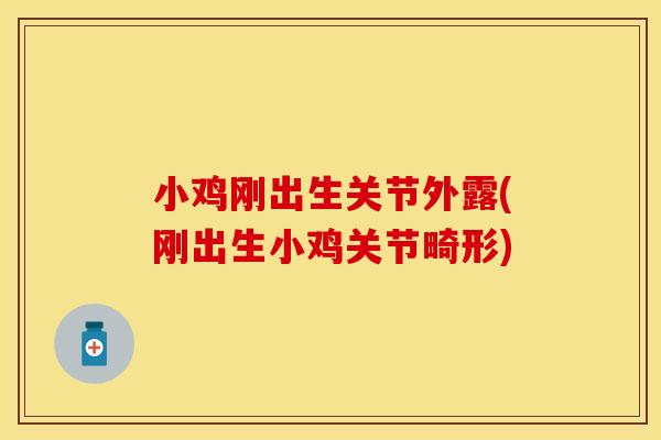 小鸡刚出生关节外露(刚出生小鸡关节畸形)