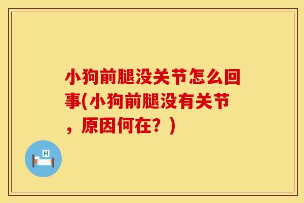 小狗前腿没关节怎么回事(小狗前腿没有关节，原因何在？)