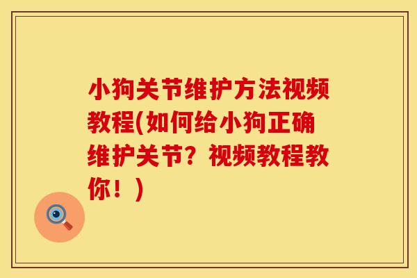 小狗关节维护方法视频教程(如何给小狗正确维护关节？视频教程教你！)