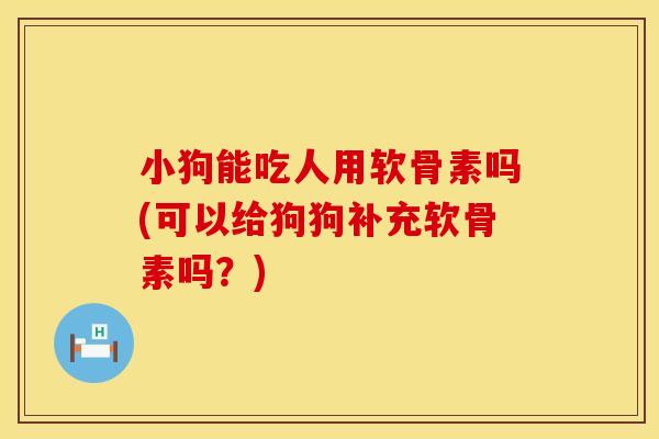 小狗能吃人用软骨素吗(可以给狗狗补充软骨素吗？)