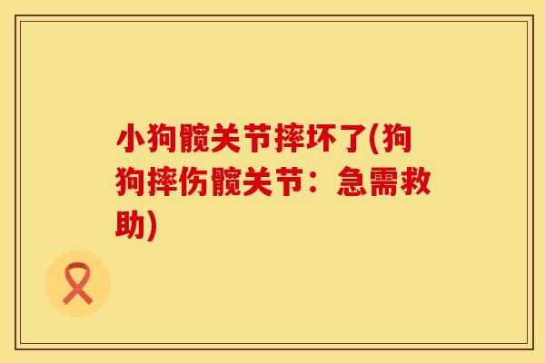 小狗髋关节摔坏了(狗狗摔伤髋关节：急需救助)