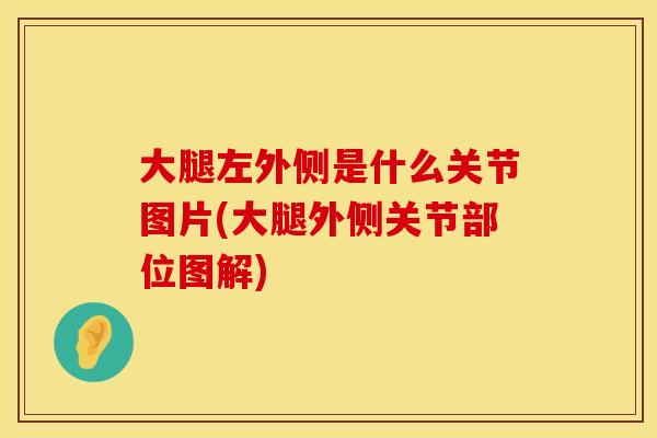 大腿左外侧是什么关节图片(大腿外侧关节部位图解) 大腿左外侧是什么关节图片(大腿外侧关节部位图解)