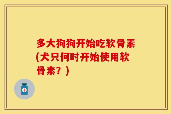 多大狗狗开始吃软骨素(犬只何时开始使用软骨素？)