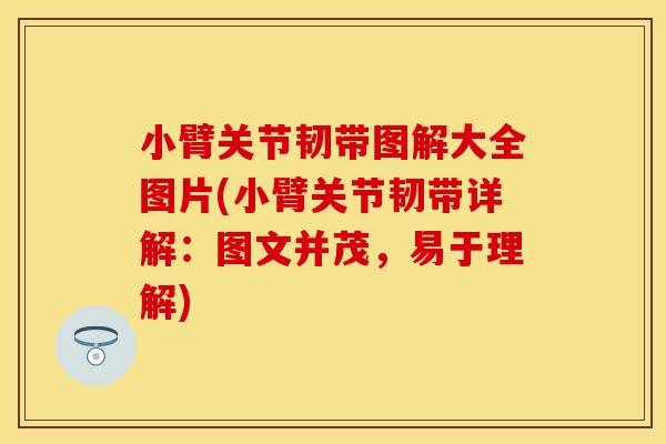 小臂关节韧带图解大全图片(小臂关节韧带详解：图文并茂，易于理解)