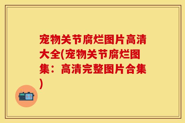 宠物关节腐烂图片高清大全(宠物关节腐烂图集：高清完整图片合集)