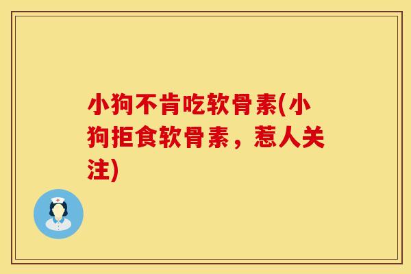 小狗不肯吃软骨素(小狗拒食软骨素，惹人关注)
