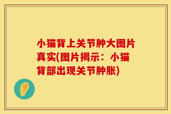 小猫背上关节肿大图片真实(图片揭示：小猫背部出现关节肿胀)
