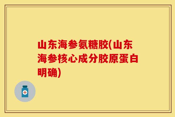 山东海参氨糖胶(山东海参核心成分胶原蛋白明确)