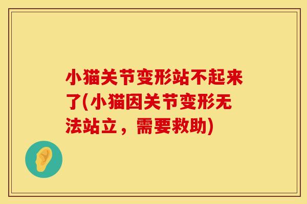 小猫关节变形站不起来了(小猫因关节变形无法站立，需要救助)