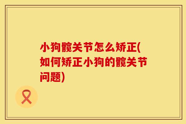 小狗髋关节怎么矫正(如何矫正小狗的髋关节问题)