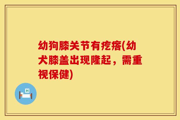 幼狗膝关节有疙瘩(幼犬膝盖出现隆起，需重视保健)