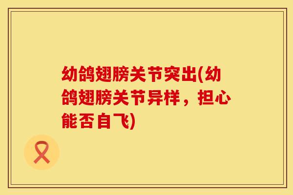 幼鸽翅膀关节突出(幼鸽翅膀关节异样,担心能否自飞) 幼鸽翅膀关节突出(幼鸽翅膀关节异样,担心能否自飞)