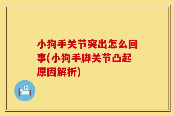 小狗手关节突出怎么回事(小狗手脚关节凸起原因解析)