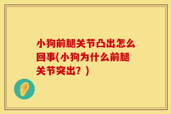 小狗前腿关节凸出怎么回事(小狗为什么前腿关节突出？)