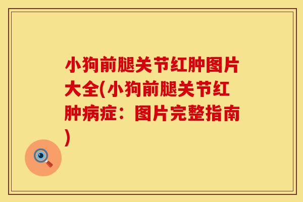 小狗前腿关节红肿图片大全(小狗前腿关节红肿病症：图片完整指南)