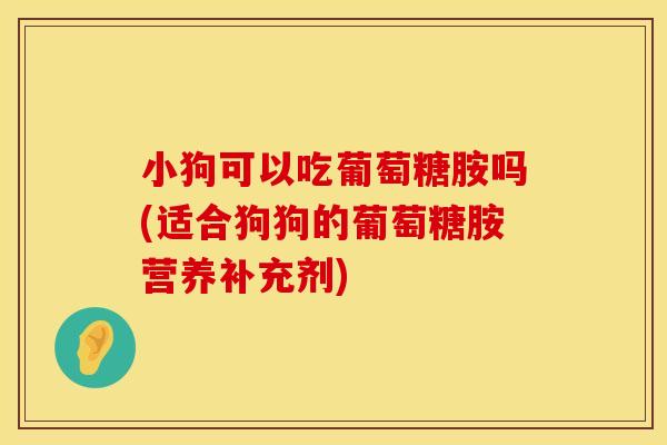 小狗可以吃葡萄糖胺吗(适合狗狗的葡萄糖胺营养补充剂)