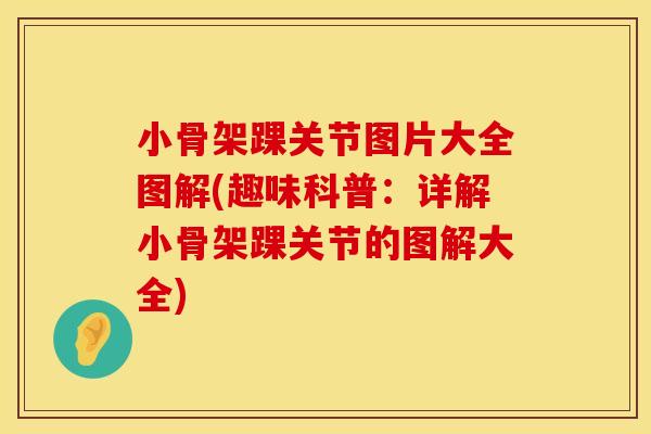 小骨架踝关节图片大全图解(趣味科普：详解小骨架踝关节的图解大全)