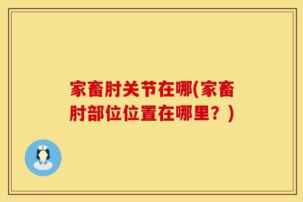 家畜肘关节在哪(家畜肘部位位置在哪里？)