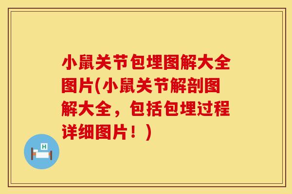 小鼠关节包埋图解大全图片(小鼠关节解剖图解大全，包括包埋过程详细图片！)