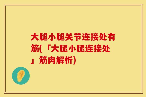 大腿小腿关节连接处有筋(「大腿小腿连接处」筋肉解析)