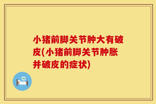 小猪前脚关节肿大有破皮(小猪前脚关节肿胀并破皮的症状)