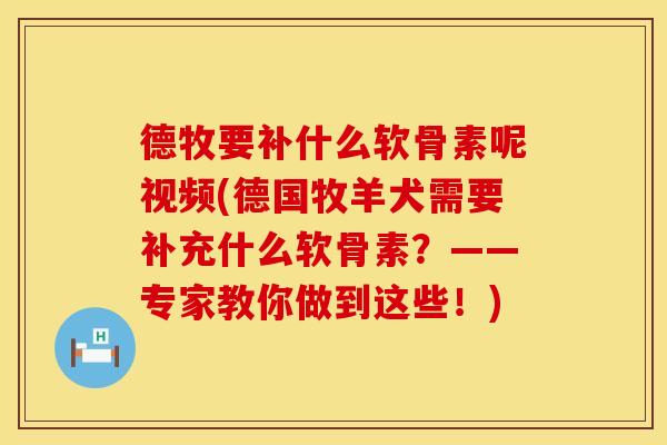 德牧要补什么软骨素呢视频(德国牧羊犬需要补充什么软骨素？——专家教你做到这些！)