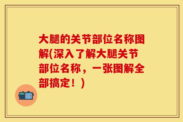 大腿的关节部位名称图解(深入了解大腿关节部位名称，一张图解全部搞定！)