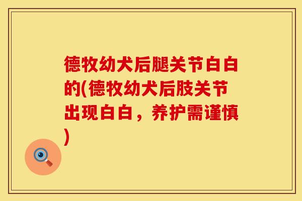 德牧幼犬后腿关节白白的(德牧幼犬后肢关节出现白白，养护需谨慎)