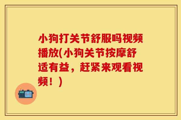 小狗打关节舒服吗视频播放(小狗关节按摩舒适有益,赶紧来观看视频!)