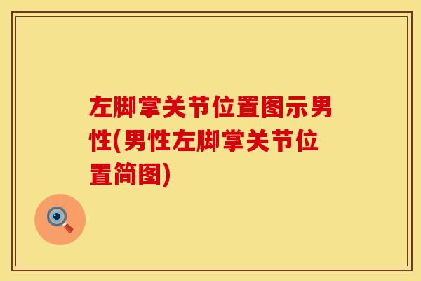 左脚掌关节位置图示男性(男性左脚掌关节位置简图)