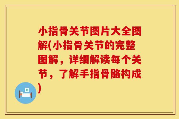 小指骨关节图片大全图解(小指骨关节的完整图解，详细解读每个关节，了解手指骨骼构成)