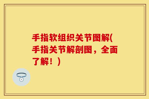 手指软组织关节图解(手指关节解剖图，全面了解！)