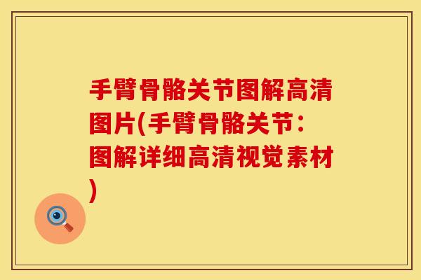 手臂骨骼关节图解高清图片(手臂骨骼关节：图解详细高清视觉素材)