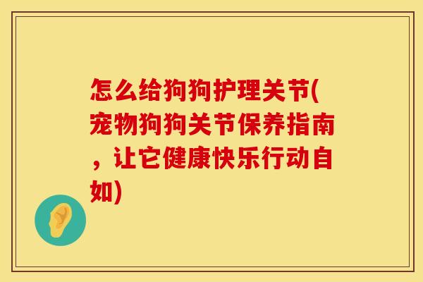 怎么给狗狗护理关节(宠物狗狗关节保养指南，让它健康快乐行动自如)