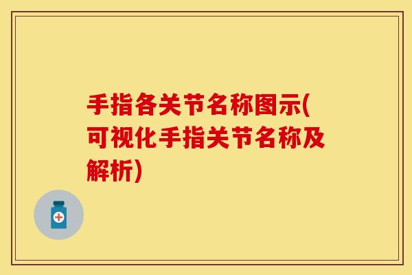 手指各关节名称图示(可视化手指关节名称及解析)