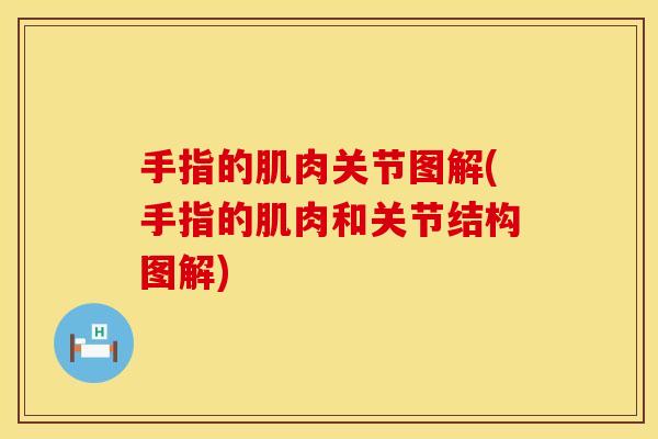 手指的肌肉关节图解(手指的肌肉和关节结构图解)