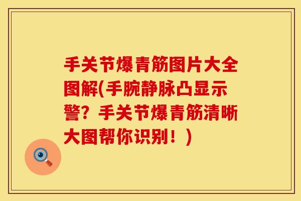 手关节爆青筋图片大全图解(手腕静脉凸显示警？手关节爆青筋清晰大图帮你识别！)