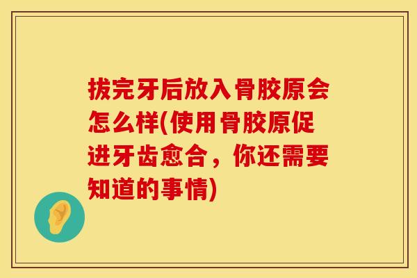 拔完牙后放入骨胶原会怎么样(使用骨胶原促进牙齿愈合，你还需要知道的事情)