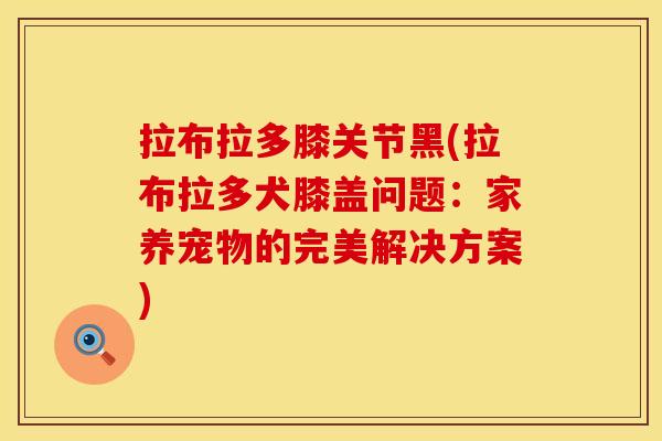 拉布拉多膝关节黑(拉布拉多犬膝盖问题：家养宠物的完美解决方案)