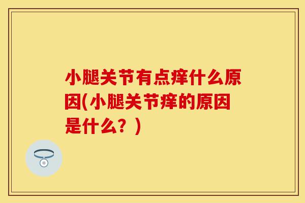 小腿关节有点痒什么原因(小腿关节痒的原因是什么？)