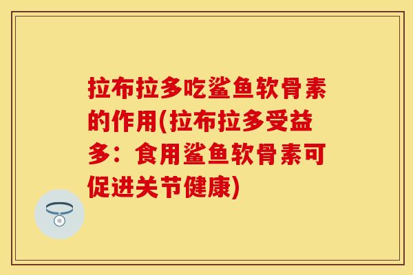 拉布拉多吃鲨鱼软骨素的作用(拉布拉多受益多：食用鲨鱼软骨素可促进关节健康)